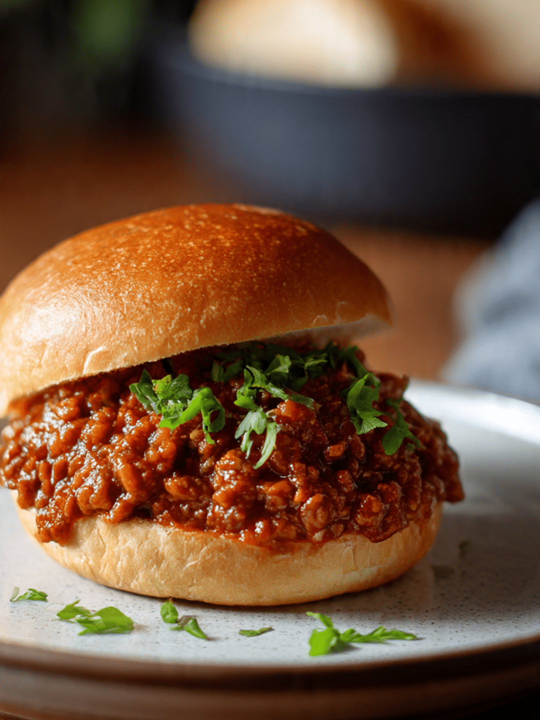 Sloppy Joe