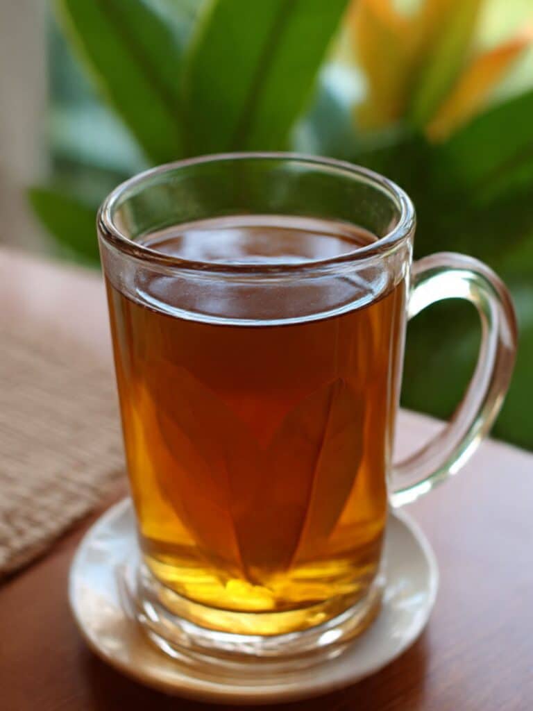 Costa Rican tea recipe in rustic mug