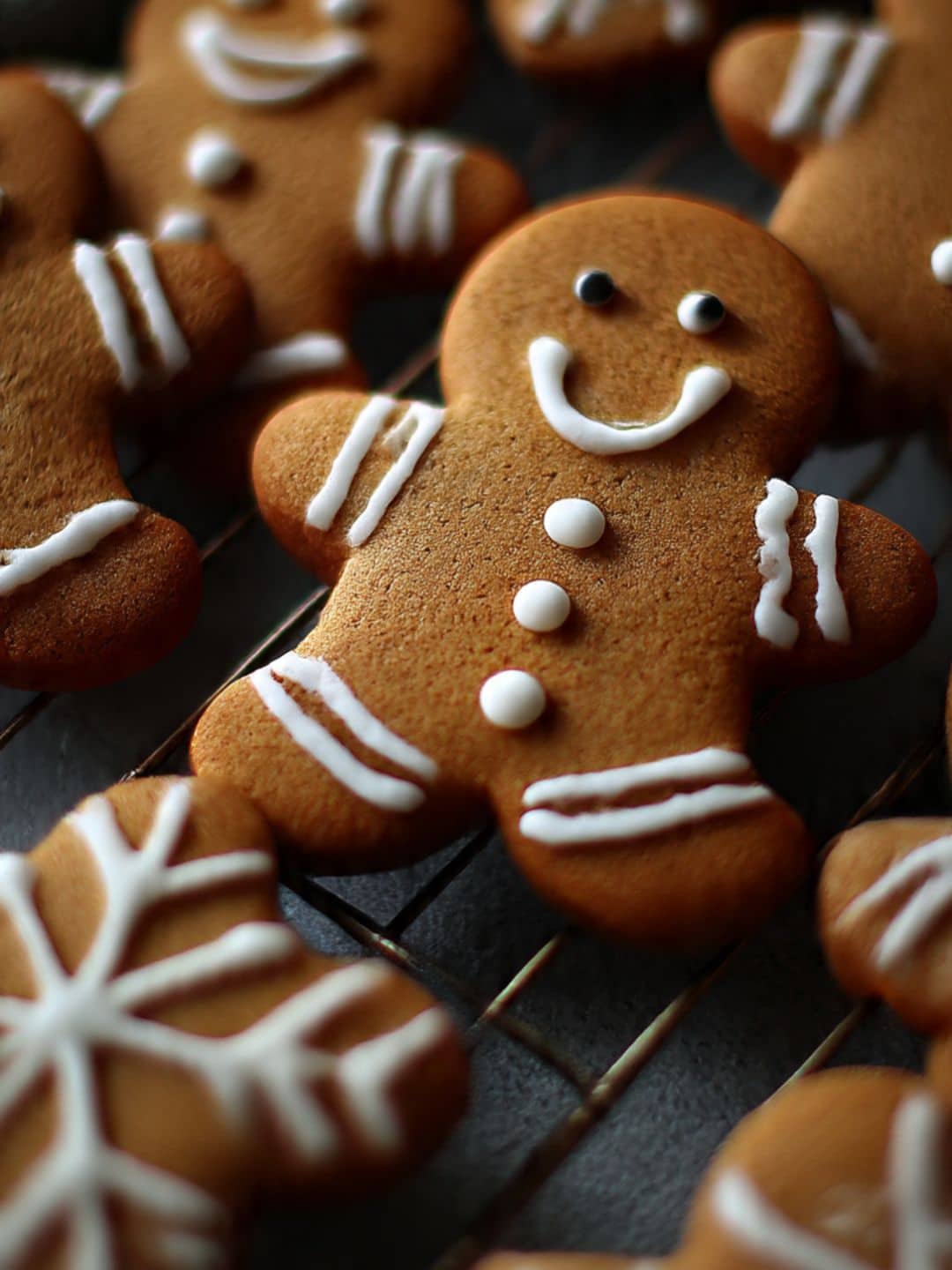 Gingerbread cookies recipe