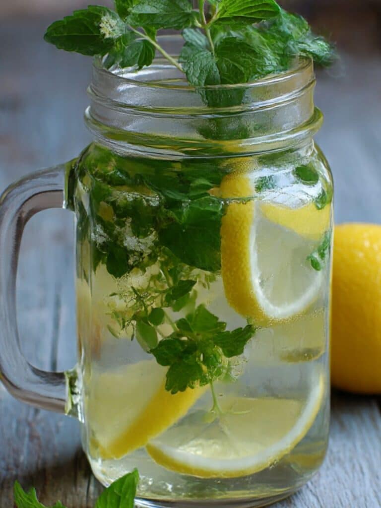 Lemon balm for weight loss flat lay of fresh lemon balm tea with lemon slices